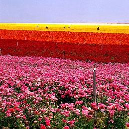 玩家自称拿到任天堂new 3DS X4和X5原型机并展示